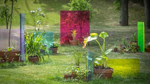 Architectes, urbanistes, paysagistes et artistes, qu’ils soient étudiants ou en activité, peuvent candidater pour créer desœuvres dans le parc de la Cité internationale universitaire de Paris. ©Yann Monel
